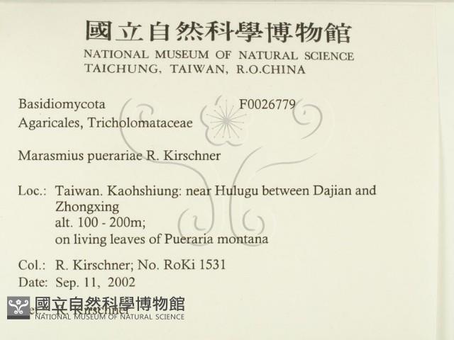 登錄號:F0026779藏品圖，第2張