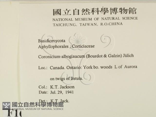 登錄號:F0016779藏品圖，第2張