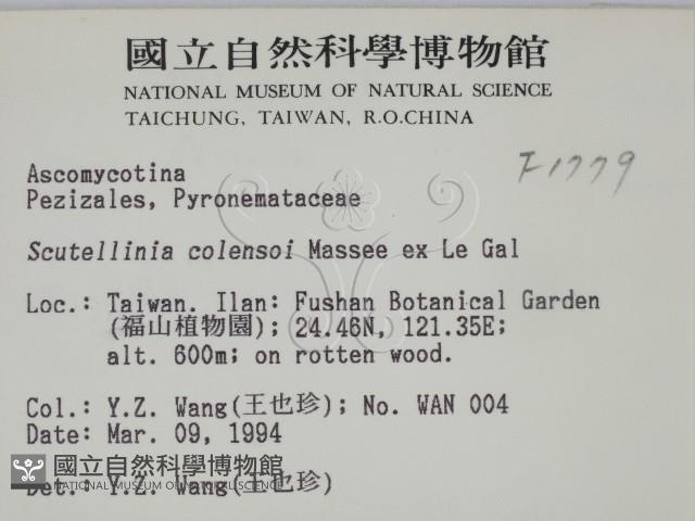登錄號:F0001779藏品圖，第2張