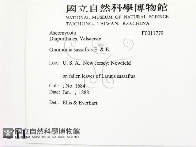 登錄號:F0011779藏品圖，第2張