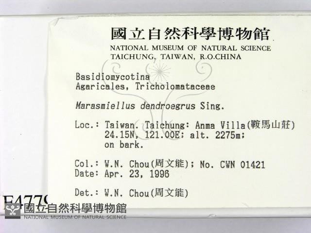 登錄號:F0004779藏品圖，第2張
