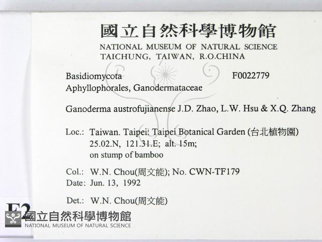 登錄號:F0022779藏品圖，第2張