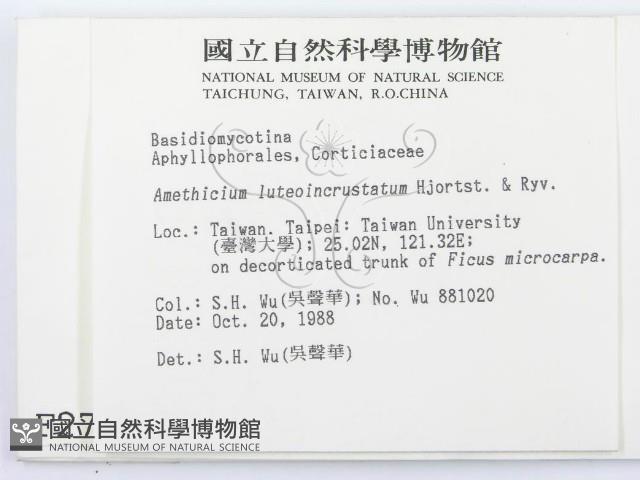 登錄號:F0002779藏品圖，第2張