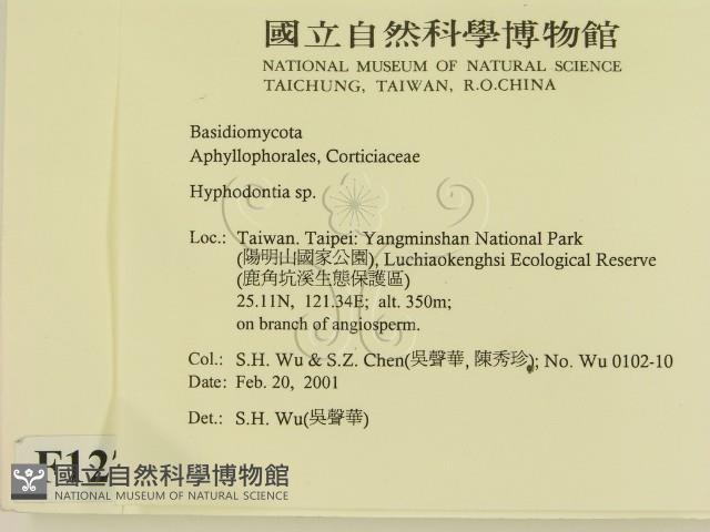 登錄號:F0012779藏品圖，第2張