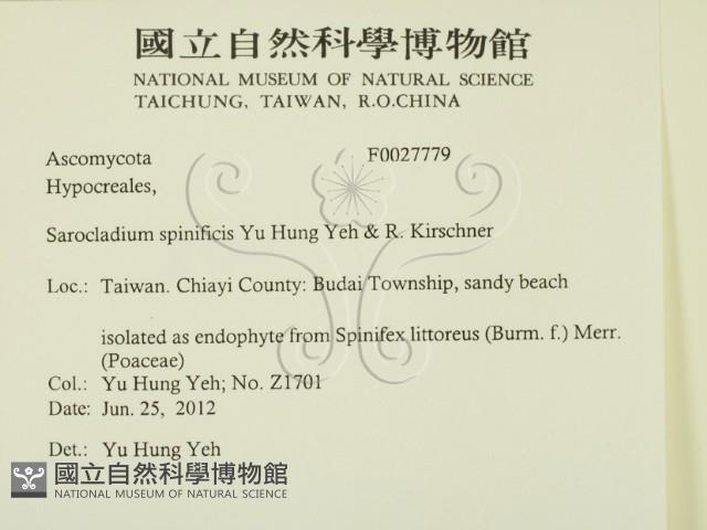 登錄號:F0027779藏品圖，第2張