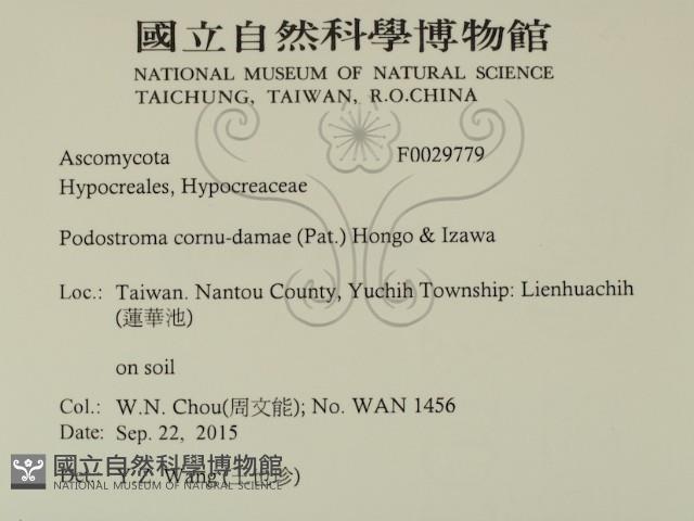 登錄號:F0029779藏品圖，第2張