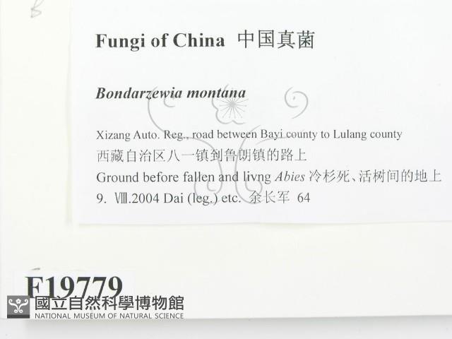 登錄號:F0019779藏品圖，第2張