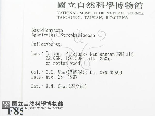 登錄號:F0008579藏品圖，第2張