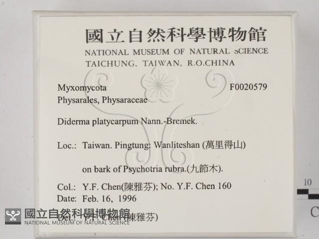 登錄號:F0020579藏品圖，第2張