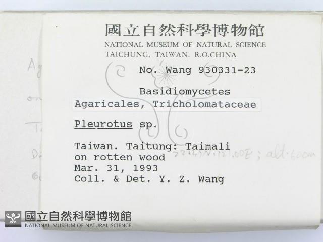 登錄號:F0000579藏品圖，第2張