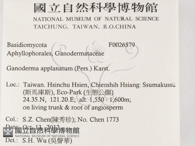 登錄號:F0026579藏品圖，第2張