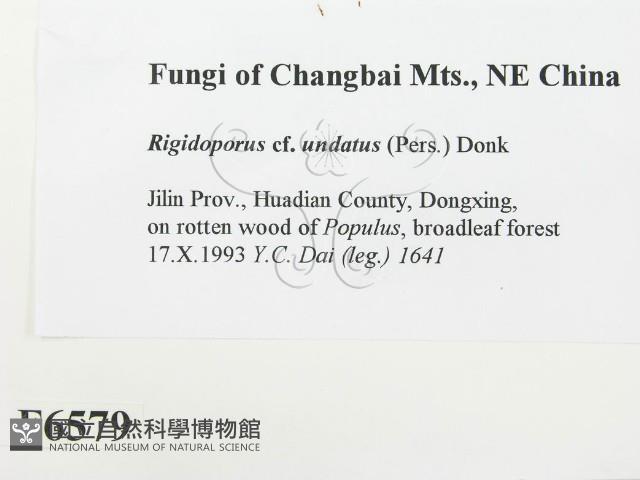 登錄號:F0006579藏品圖，第2張