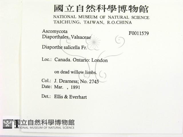 登錄號:F0011579藏品圖，第2張