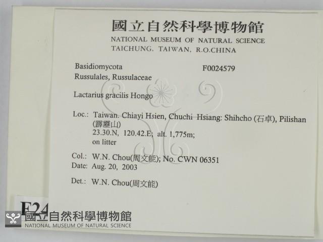 登錄號:F0024579藏品圖，第2張