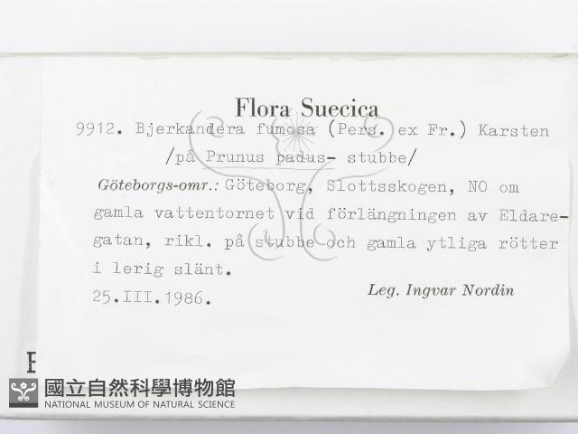 登錄號:F0004579藏品圖，第2張