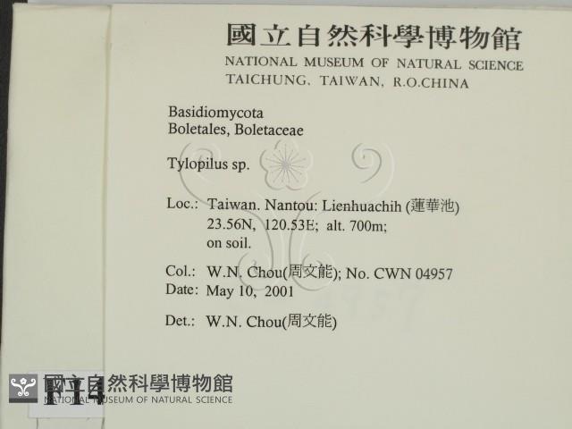 登錄號:F0014579藏品圖，第2張