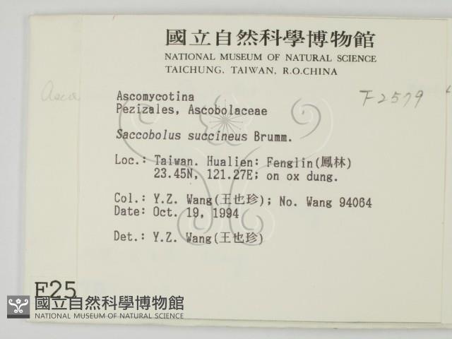 登錄號:F0002579藏品圖，第2張