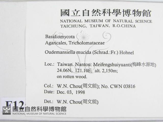 登錄號:F0012579藏品圖，第2張