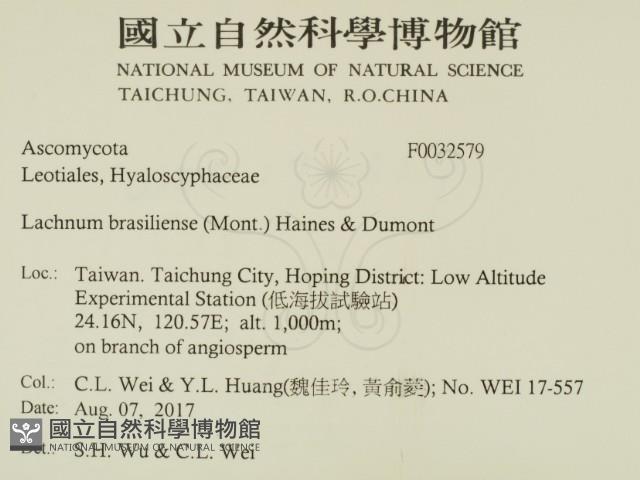 登錄號:F0032579藏品圖，第2張