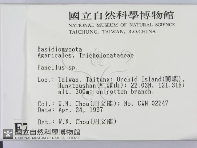 登錄號:F0007579藏品圖，第2張