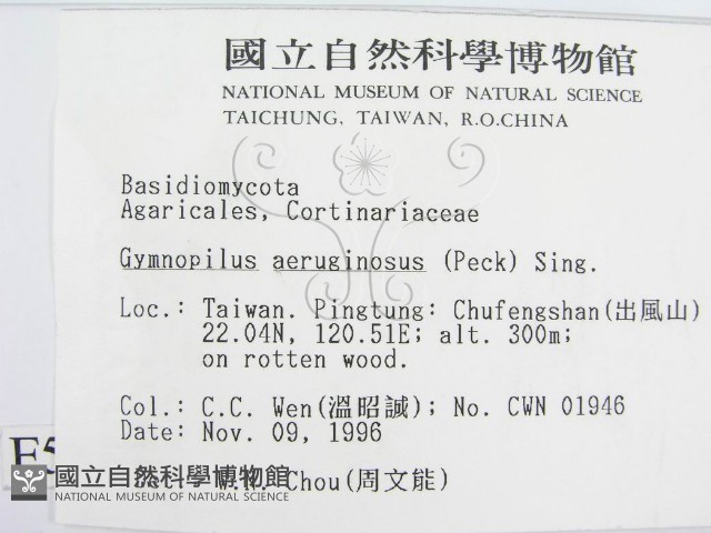 登錄號:F0005579藏品圖，第2張