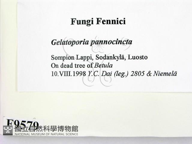 登錄號:F0009579藏品圖，第2張