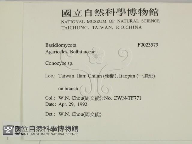 登錄號:F0023579藏品圖，第2張