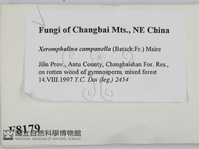 登錄號:F0008179藏品圖，第2張