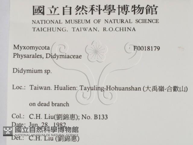 登錄號:F0018179藏品圖，第2張