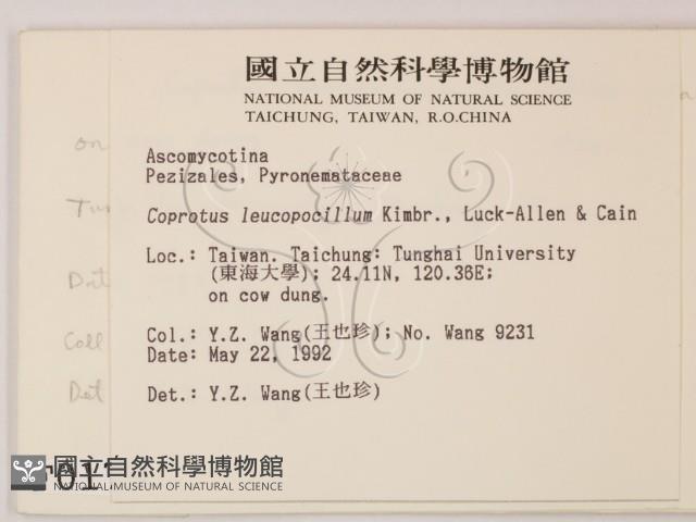 登錄號:F0000179藏品圖，第2張