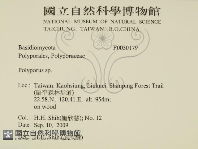 Accession Number:F0030179 Collection Image, Figure 2, Total 2 Figures