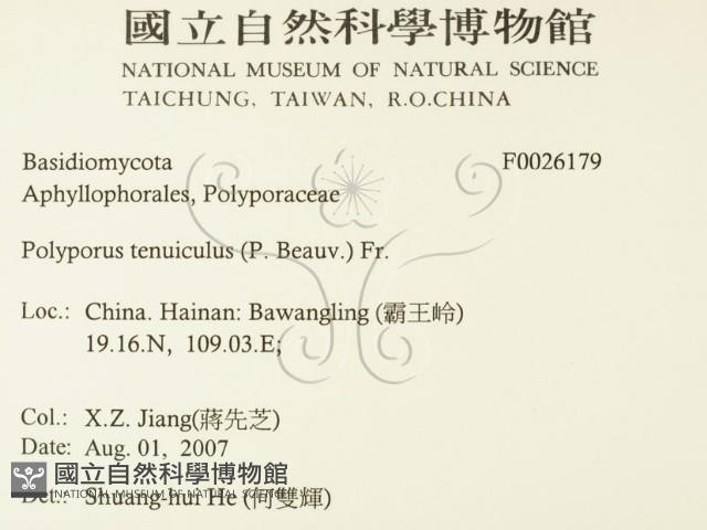 登錄號:F0026179藏品圖，第2張