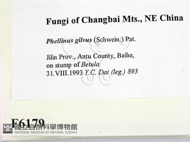 登錄號:F0006179藏品圖，第2張