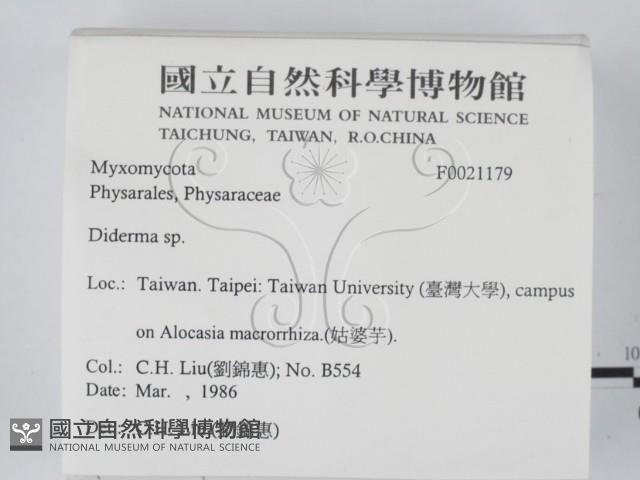 登錄號:F0021179藏品圖，第2張