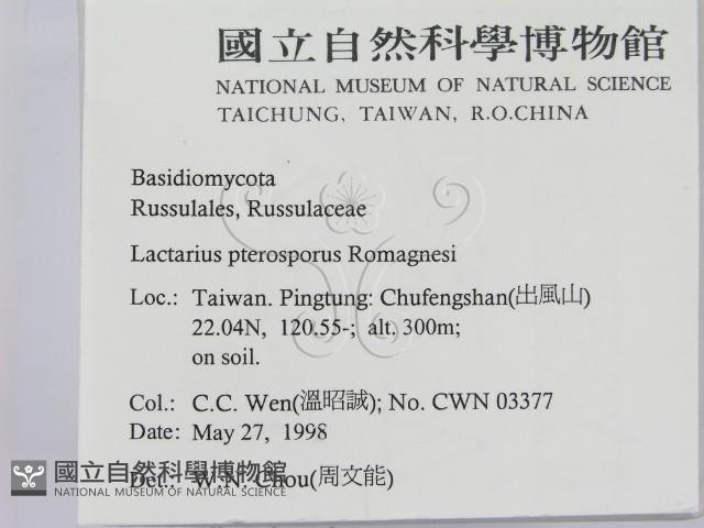 登錄號:F0011179藏品圖，第2張