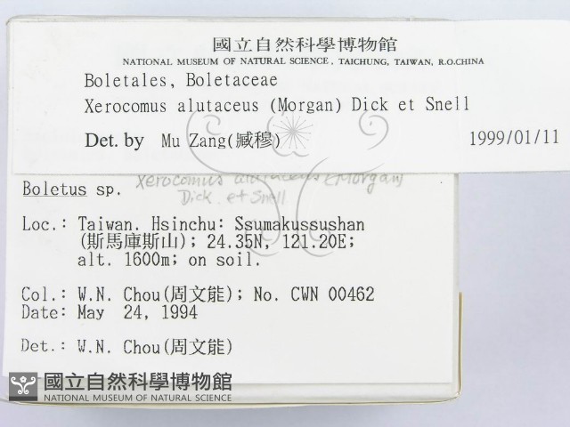 登錄號:F0002179藏品圖，第2張