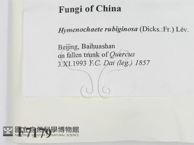 登錄號:F0007179藏品圖，第2張