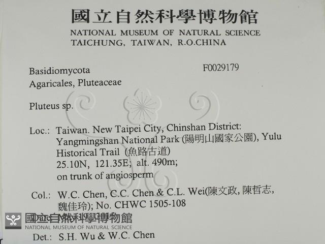 登錄號:F0029179藏品圖，第2張