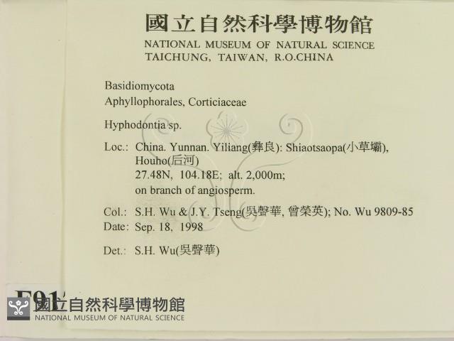 登錄號:F0009179藏品圖，第2張