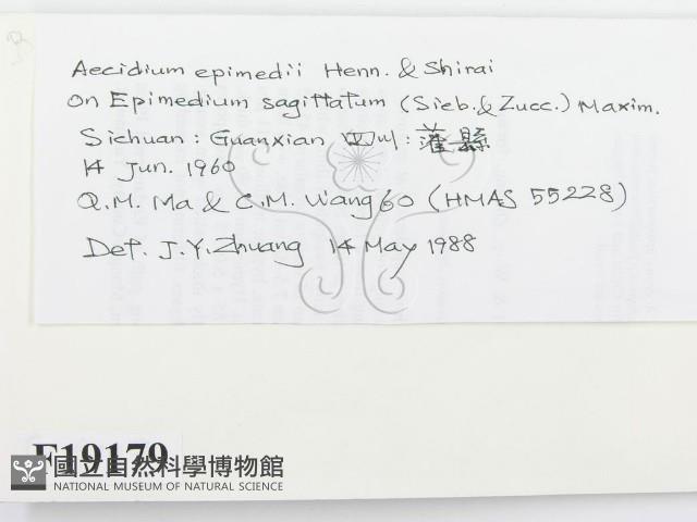 登錄號:F0019179藏品圖，第2張