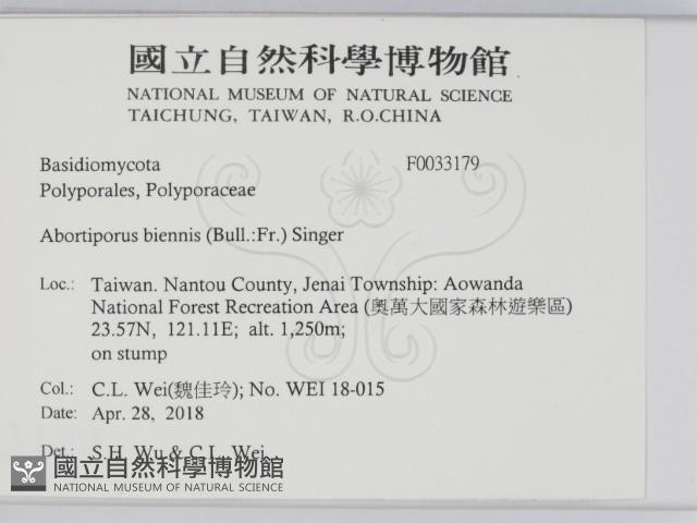 登錄號:F0033179藏品圖，第2張