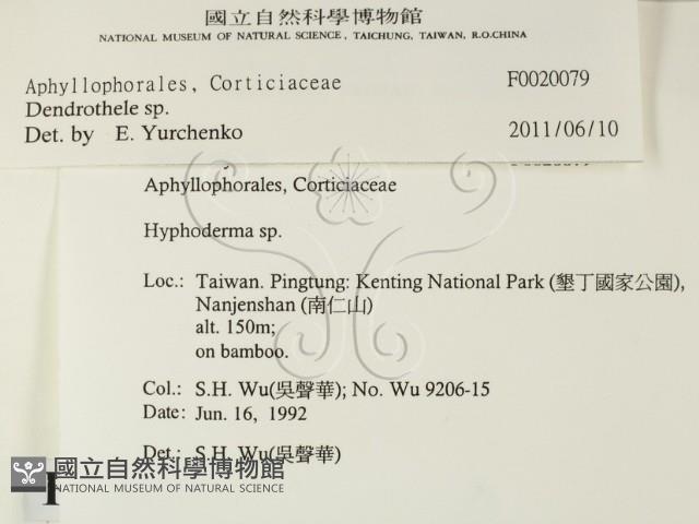 登錄號:F0020079藏品圖，第2張
