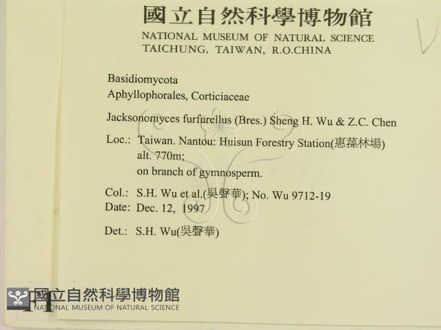 登錄號:F0010079藏品圖，第2張