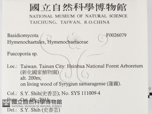 登錄號:F0026079藏品圖，第2張