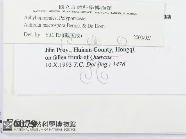 登錄號:F0006079藏品圖，第2張