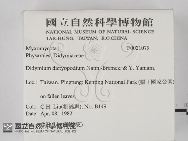 登錄號:F0021079藏品圖，第2張