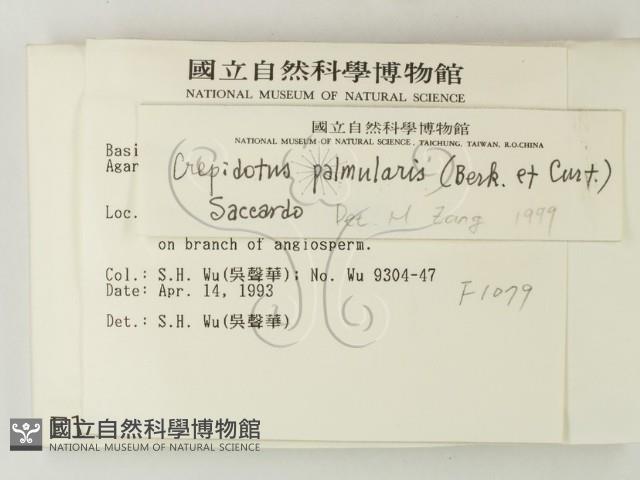 登錄號:F0001079藏品圖，第2張