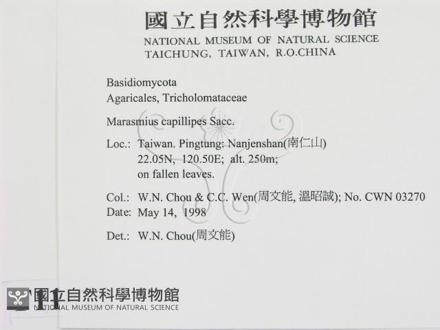 登錄號:F0011079藏品圖，第2張