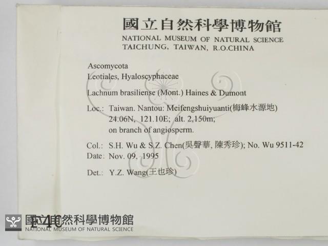 登錄號:F0004079藏品圖，第2張