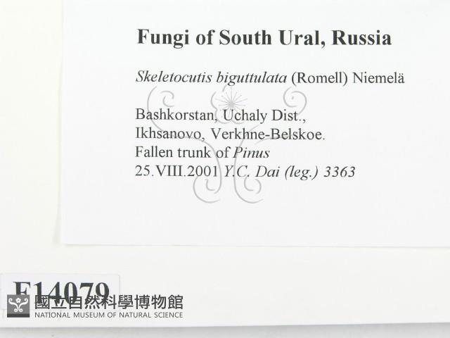 Accession Number:F0014079 Collection Image, Figure 2, Total 3 Figures